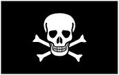image of pirate flag