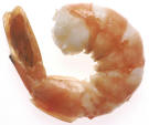image of a shrimp